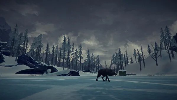 The Long Dark (2017) na PC, celé v španielčine